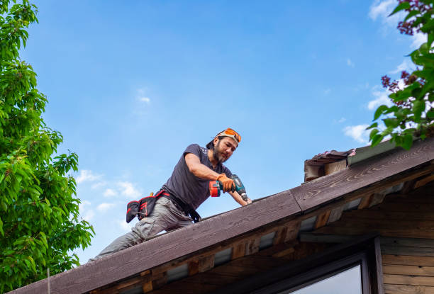  Frazee, MN Roofing services Pros