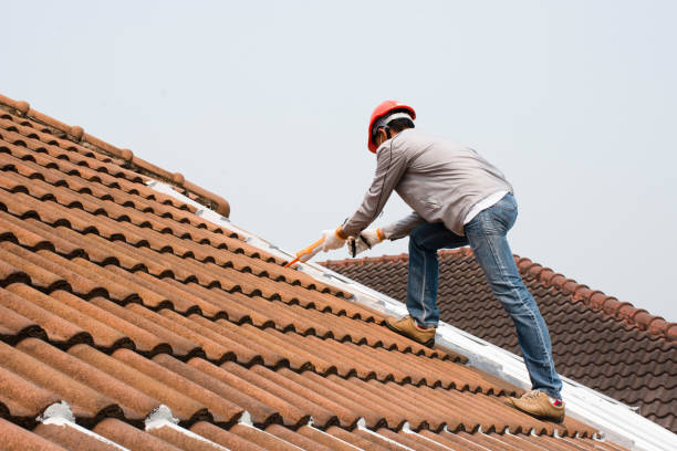 Waterproofing in Frazee, MN