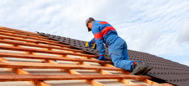Best Gutter Installation and Repair  in Frazee, MN