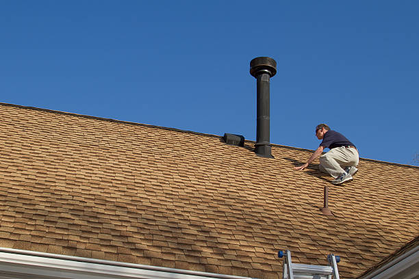 Best Skylight Installation and Repair  in Frazee, MN
