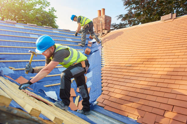 Best Roof Ventilation Installation  in Frazee, MN