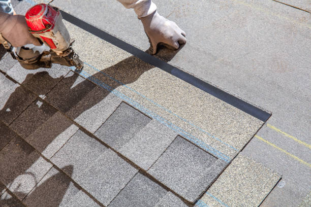 Best Chimney Flashing Repair  in Frazee, MN